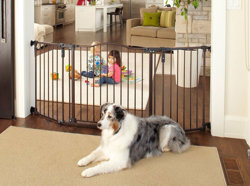 por qué usar barreras para perros en la casa